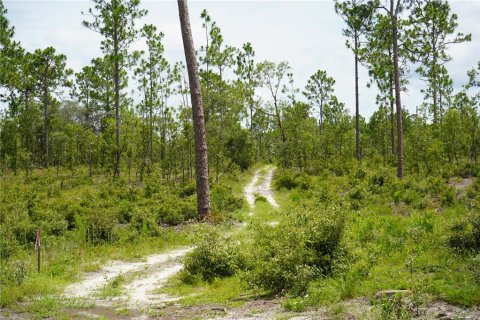 Terreno en venta en Morriston, Florida № 1521261 - foto 23