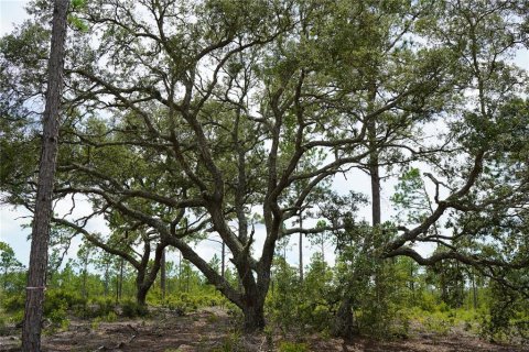 Terreno en venta en Morriston, Florida № 1521261 - foto 21
