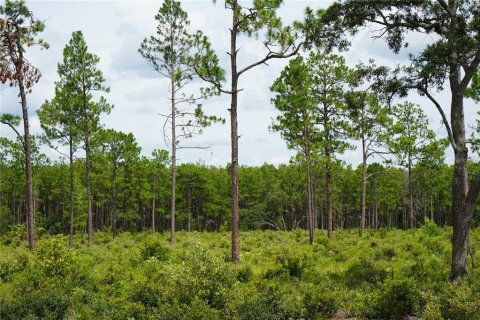 Terreno en venta en Morriston, Florida № 1521261 - foto 20