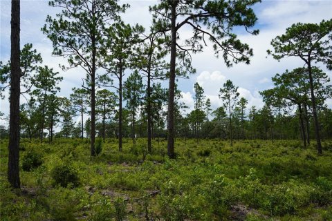 Terreno en venta en Morriston, Florida № 1521261 - foto 16