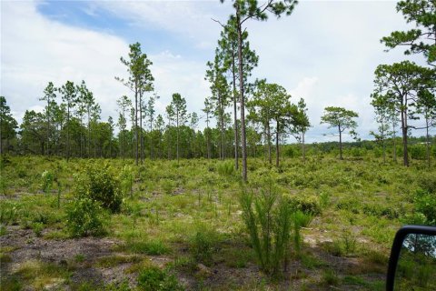 Terreno en venta en Morriston, Florida № 1521261 - foto 15