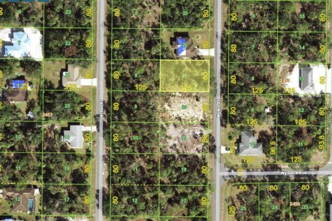 Land in Port Charlotte, Florida № 2211129