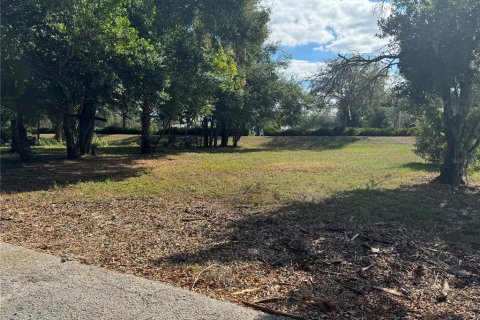 Terreno en venta en Lakeland, Florida № 1534314 - foto 3