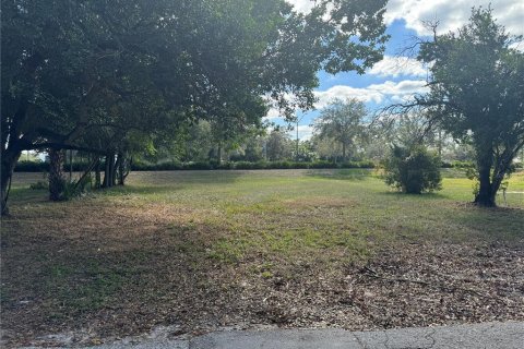 Terreno en venta en Lakeland, Florida № 1534314 - foto 1