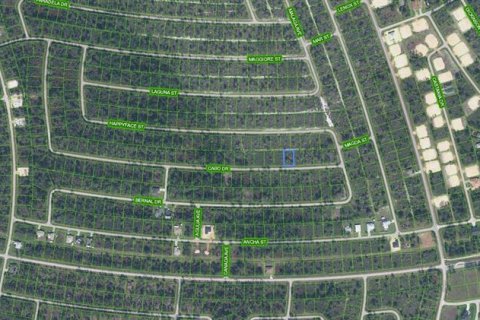 Land in Sebring, Florida № 2259060