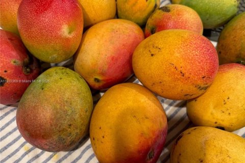 House in Miami, Florida 3 bedrooms, 118.54 sq.m. № 1976315 - photo 19