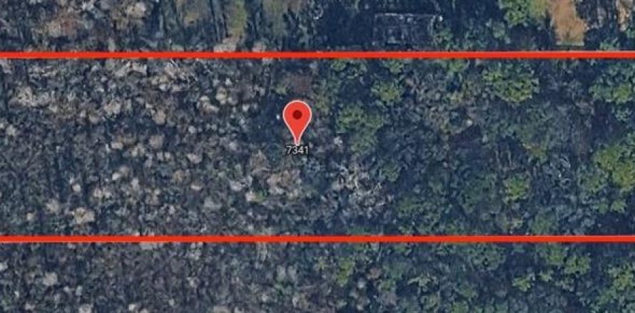 Land in Wesley Chapel, Florida № 2201173