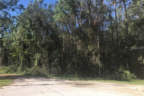 Land in Wesley Chapel, Florida № 2201173 - photo 2