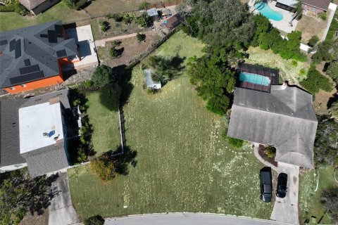Land in Valrico, Florida № 2166745 - photo 4