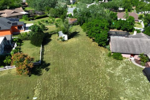 Land in Valrico, Florida № 2166745 - photo 2