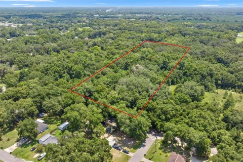 Terreno en venta en Williston, Florida № 1275305 - foto 1