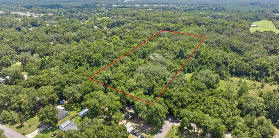 Terreno en Williston, Florida № 1275305