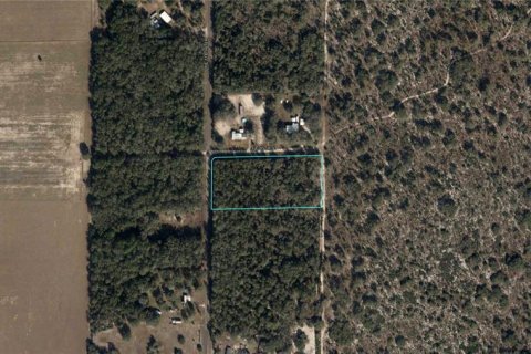 Land in Bronson, Florida № 1904488 - photo 1