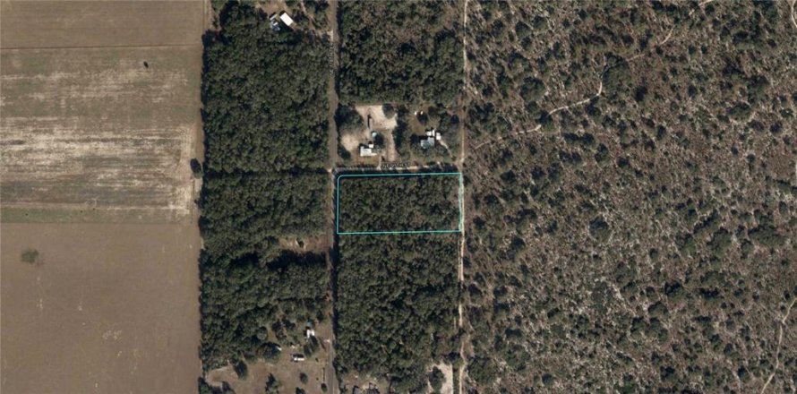 Land in Bronson, Florida № 1904488