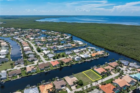 Terreno en venta en Punta Gorda, Florida № 2302850 - foto 3