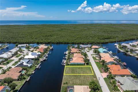 Terreno en venta en Punta Gorda, Florida № 2302850 - foto 12