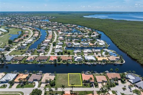 Terreno en venta en Punta Gorda, Florida № 2302850 - foto 6
