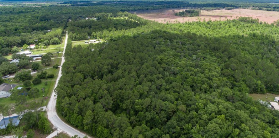 Terreno en Palatka, Florida № 766175