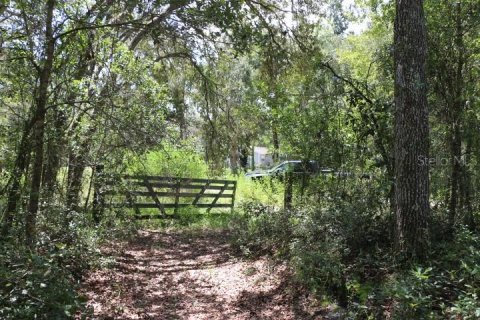 Land in Webster, Florida № 1885306 - photo 16