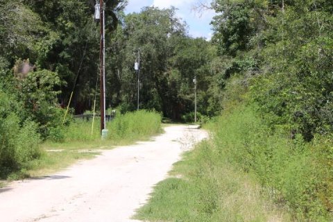 Land in Webster, Florida № 1885306 - photo 1
