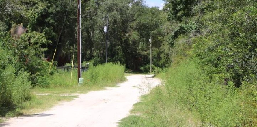 Land in Webster, Florida № 1885306