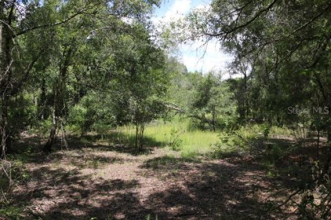Land in Webster, Florida № 1885306 - photo 8