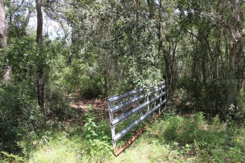 Land in Webster, Florida № 1885306 - photo 12