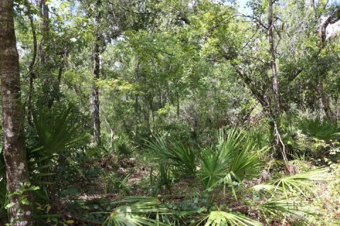 Land in Webster, Florida № 1885306 - photo 22