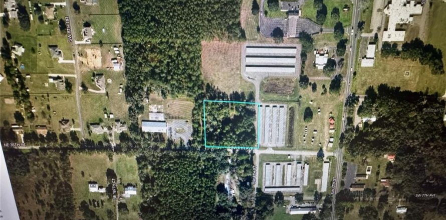 Terrain à Williston, Floride № 1744273