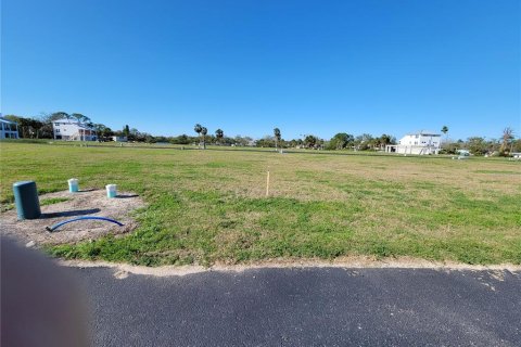 Terrain à vendre à New Port Richey, Floride № 1580516 - photo 2