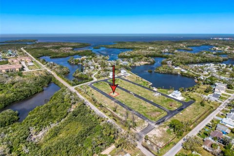 Terrain à vendre à New Port Richey, Floride № 1580516 - photo 6