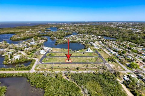 Terrain à vendre à New Port Richey, Floride № 1580516 - photo 5