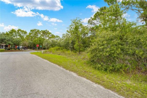 Land in Weeki Wachee, Florida № 1816216 - photo 2