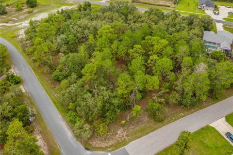 Land in Weeki Wachee, Florida № 1816216 - photo 1