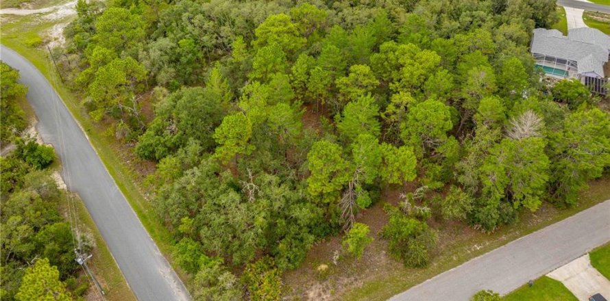Land in Weeki Wachee, Florida № 1816216