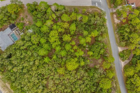 Land in Weeki Wachee, Florida № 1816216 - photo 13