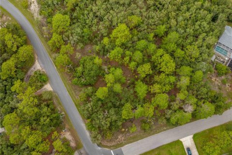 Land in Weeki Wachee, Florida № 1816216 - photo 7
