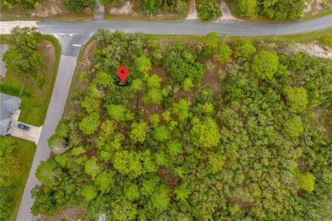 Land in Weeki Wachee, Florida № 1816216 - photo 10