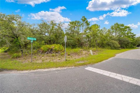 Land in Weeki Wachee, Florida № 1816216 - photo 16