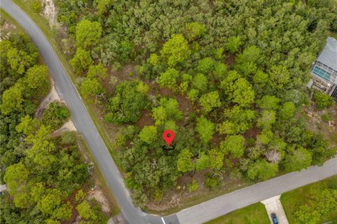 Land in Weeki Wachee, Florida № 1816216 - photo 6