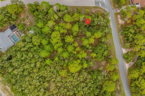 Land in Weeki Wachee, Florida № 1816216 - photo 12