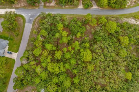 Land in Weeki Wachee, Florida № 1816216 - photo 11