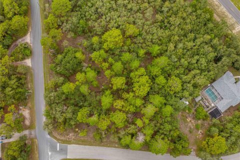 Land in Weeki Wachee, Florida № 1816216 - photo 9