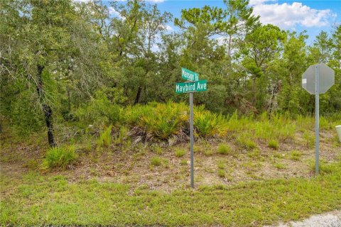 Land in Weeki Wachee, Florida № 1816216 - photo 17