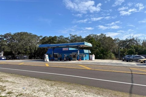 Immobilier commercial à vendre à Tarpon Springs, Floride: 127.93 m2 № 2094460 - photo 3