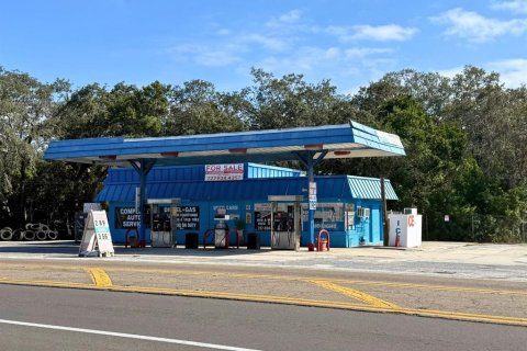 Immobilier commercial à vendre à Tarpon Springs, Floride: 127.93 m2 № 2094460 - photo 2