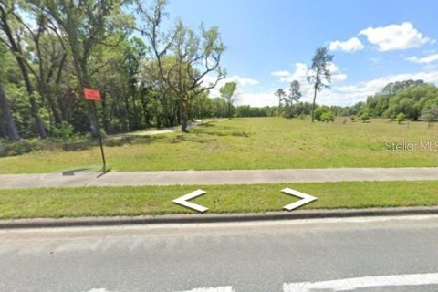 Land in Newberry, Florida № 1165574 - photo 2