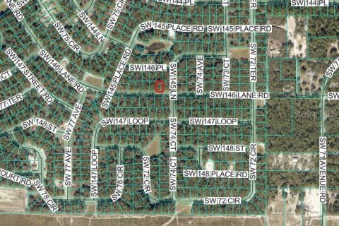 Land in Ocala, Florida № 2162947 - photo 3