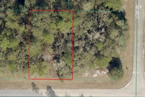 Land in Ocala, Florida № 2162947