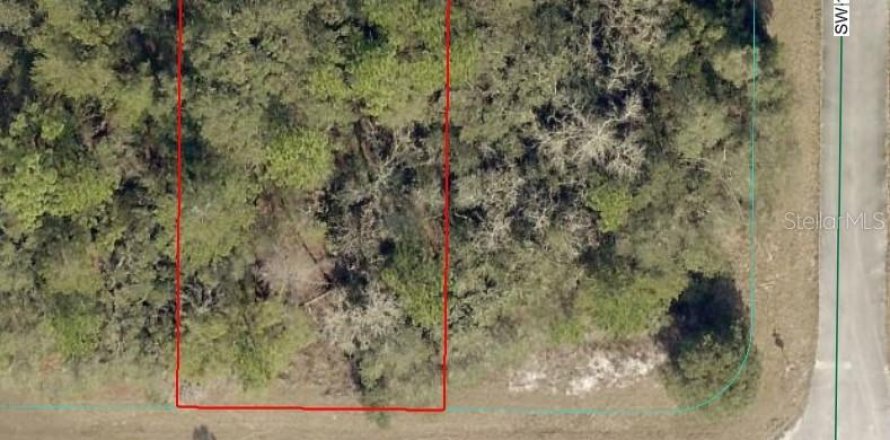 Land in Ocala, Florida № 2162947